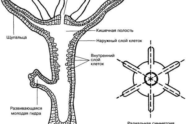 Union мега сайт