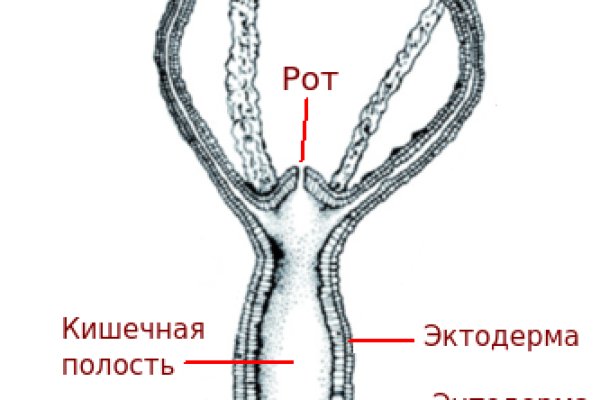 Кракен онион ссылка зеркало in.kraken6.at kraken7.at kraken8.at