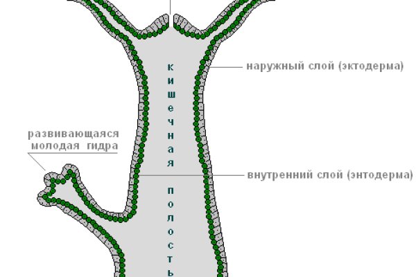 Кракен вы забанены что это